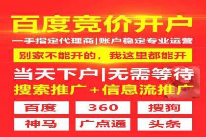 成功托管SEM竞价，实现品牌快速曝光